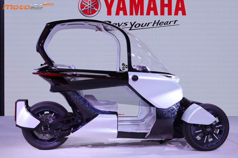 TMS19 - Yamaha MW Vision